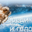 Среди звезд и галактик - Библиотечно-музейный центр